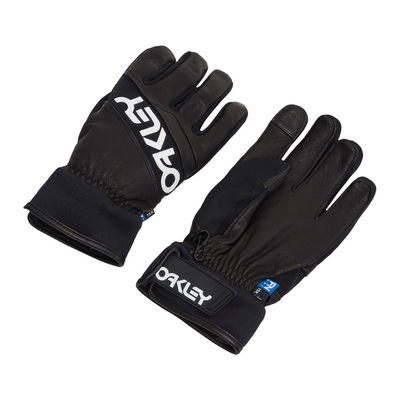 Гірськолижні рукавиці Oakley Factory Winter Glove 2.0 2200000136824 фото